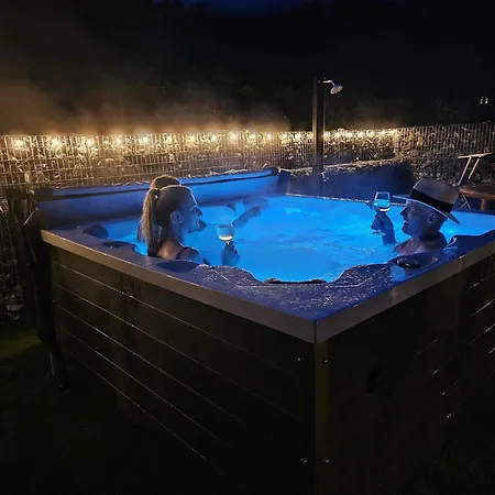 Lejlighed Klingspitz Dienten am Hochkönig